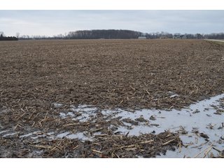 Property photo 40 - 175 Acres Offered in 5 Tracts - Tontogany, Ohio Farm Land Auction